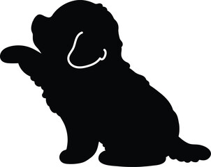 Silhouette of Maltese Dog shaking hands
