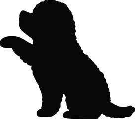 Silhouette of Toy Poodle shaking hands