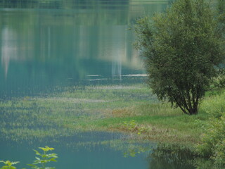 Tranquil water with green grass and a bush on the shore. Lake Urkullu, Aretxabaleta, Gipuzkoa.