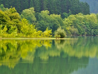Tranquil body of water surrounded by lush green trees.