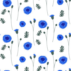 seamless pattern with blue cornflower flowers on white background