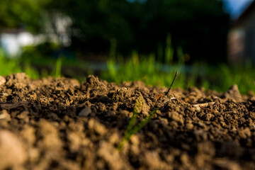 Ground