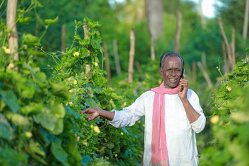 Naklejka na ściany i meble Indian farming, farmer holding bottle gourd, happy farmer speaking on cell phone