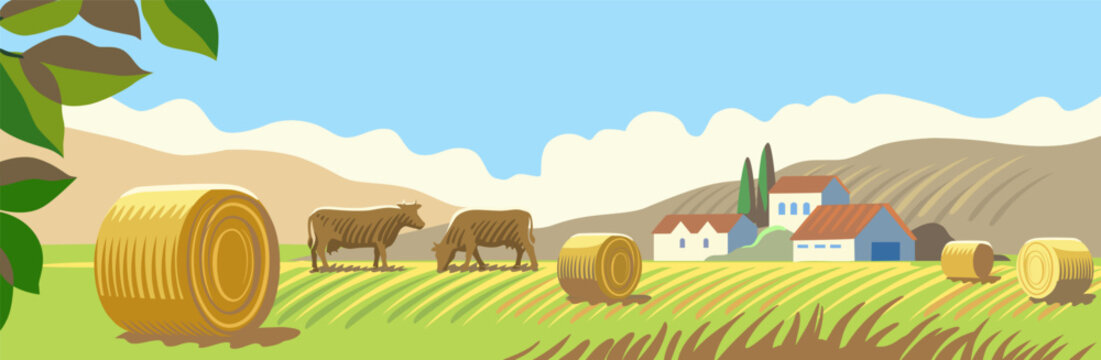 Livestock farm with cow. Farming land and hay