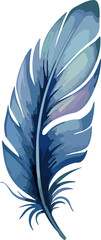 Watercolor vibrant feather Hand drawn illustration on white background
