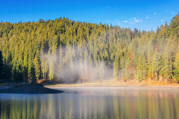 sunny landscape with lake in autumn. fog above the water surface. sky and trees reflection