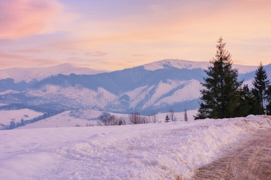 mountainous countryside at sunset. beautiful winter landscape with snow covered hills and meadows in evening light. snow capped peak great top of borzhava ridge in the distance