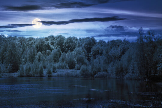 lake among the forest at night. trees reflecting in the water. midnight nature scenery in full moon light