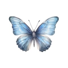 Obraz na płótnie Canvas Watercolor illustration of a light blue butterfly isolated on white background. Generative AI.