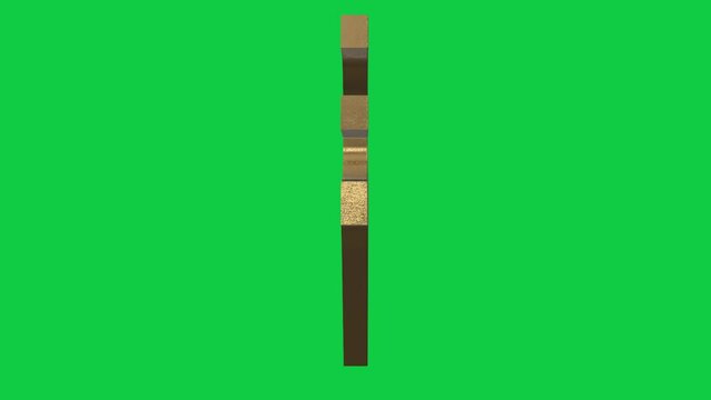 Rotating 3D Rupee Symbol in Green Screen