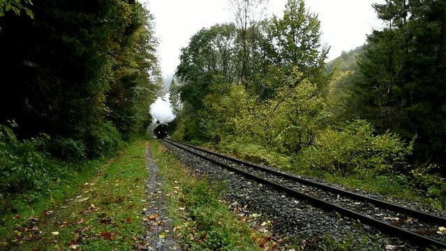 Harzer Schmalspurbahn, HSB, runs through the Harz mountains, Saxony-Anhalt, Germany, Europe