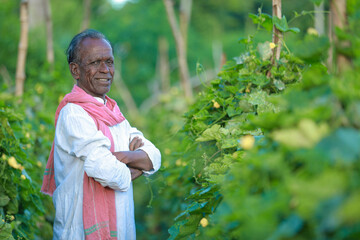Naklejka na ściany i meble Indian farming Happy indian farmer standing in farm, farmer in farm