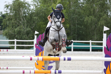 horse and rider on a horse in show jumping competition