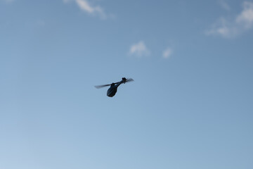 Small unmanned helicopter for military reconnaissance in the air.