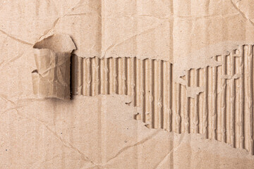 Torn Ripped Carton Cardboard Paper Texture Background