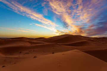 Fototapeta na wymiar Morocco. Merzouga. Sand dunes of Sahara desert under a blue sky at dusk