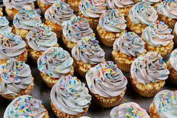rainbow frosted vanilla flavored cupcake or muffin with sprinkles