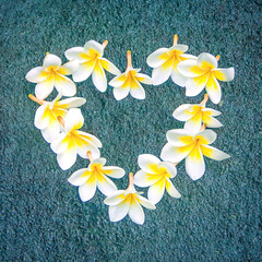 Fototapeta premium Discover the captivating allure of a floral heart made of aromatic plumeria blossoms, a symbol of love and serenity that evokes tropical bliss