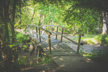 Wooden bridge over a river in the forest. Leudal, Limburg, the Netherlands.
