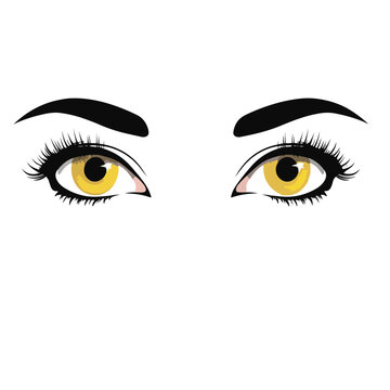 woman two eyes close up vector flat isolated illustration