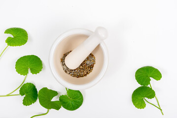 Top view on table centella asiatica leaves with isolated on white background