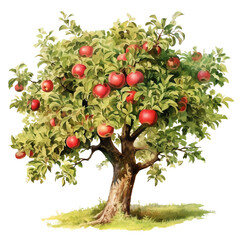 Vintage Apple Tree Watercolor Clipart, Apple Tree Clipart Watercolor, Summer Apple Illustration, made with generative AI