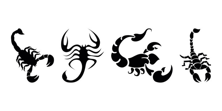 Scorpion logo image for tattoo symbol vector image on VectorStock |  Scorpion, Symbolic tattoos, Vector images