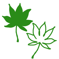 green leaf isolated on white background