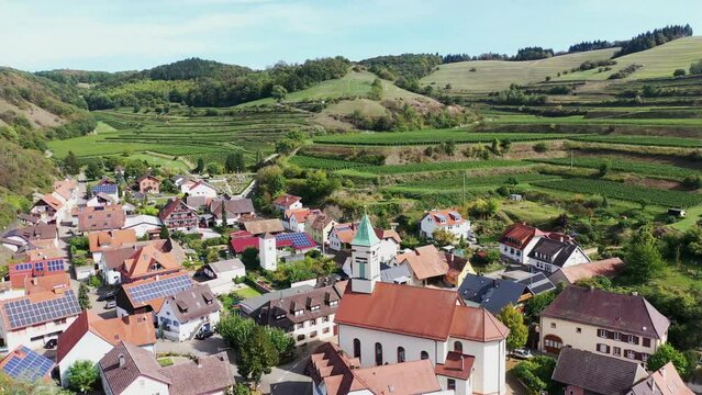 Drone aerial view of Schelingen am Kaiserstuhl with view of the vineyards. Schelingen, Vogtsburg am Kaiserstuhl, Breisgau, Black Forest, Freiburg, Baden-Wuerttemberg, Germany, Europe