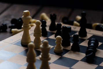 Chess pieces on the board