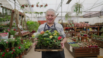 One Happy older male employee carrying Flowers inside Plant Store. Local business shop of senior person working with gardening