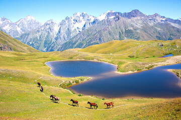 the horse walking on the grass near the lake with mountains in the background. Trekking and travel...