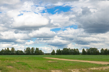 Landscape with a rural road through a field on a summer evening.
