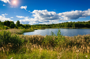 Beautiful landscape with forest lake in summer.
