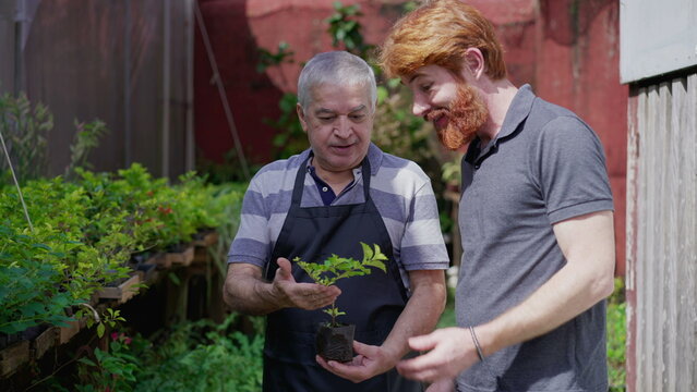 Male Customer Purchasing Floral Plant with Senior Owner_s Assistance at Horticulture Store