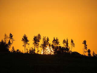 Orange sky at sunrise with silhouettes of trees
