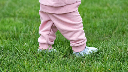 Toddler legs learning to walk independently on green grass in city park. Daughter doing shaky and confident steps alone on grass closeup