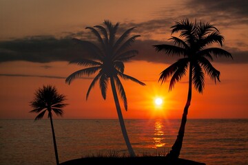 Beautiful Sunset on beach with silhouettes of palm trees