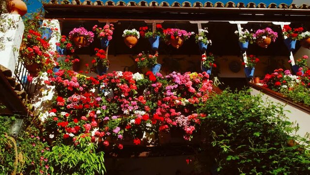 Patios Cordobeses, Cordoba, Andalusia, Spain, traditional courtyards adorned with vibrant flowers and plants reflecting local culture