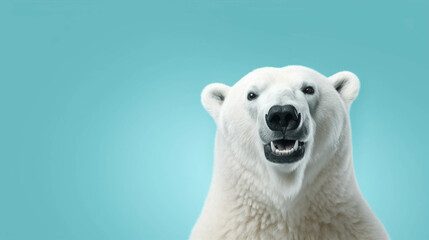 Obraz na płótnie Canvas Polar Bear Looking at the Camera. Solid color background with empty space for text. Web Banner template. Generative AI