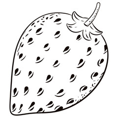 Strawberry outline hand drawn.