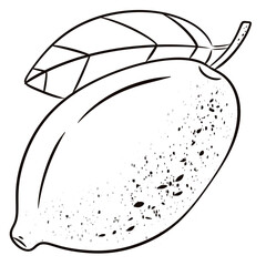 Lemonade outline hand drawn.