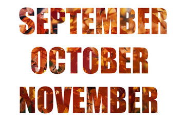 Words Autumn months from a bright red and orange leaf pattern. words September, October, November isolated on white background