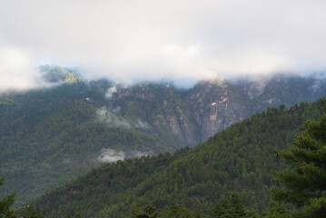 Fototapeta na wymiar landscape with fog