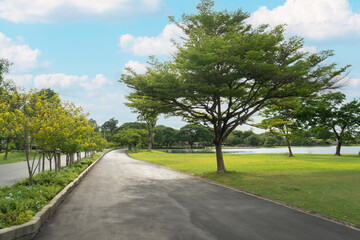 Fototapeta na wymiar Empty street, green city park with blue sky. Pathway and beautiful trees track for running or walking and cycling relax in park on green grass field on the side. Sunlight and flare background concept