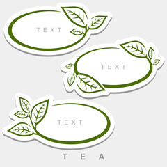 Green tea leaves set. Collection green tea leaves frame. Vector