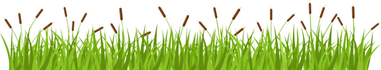 Grass with cattail clipart