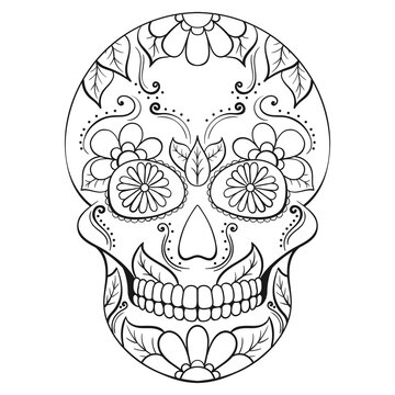 Day of The Dead Skull with floral ornament. Mexican sugar skull. Illustration on transparent background