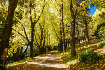 Wombat Hill Botanic Gardens in Daylesford Australia