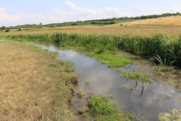A stream running through a field